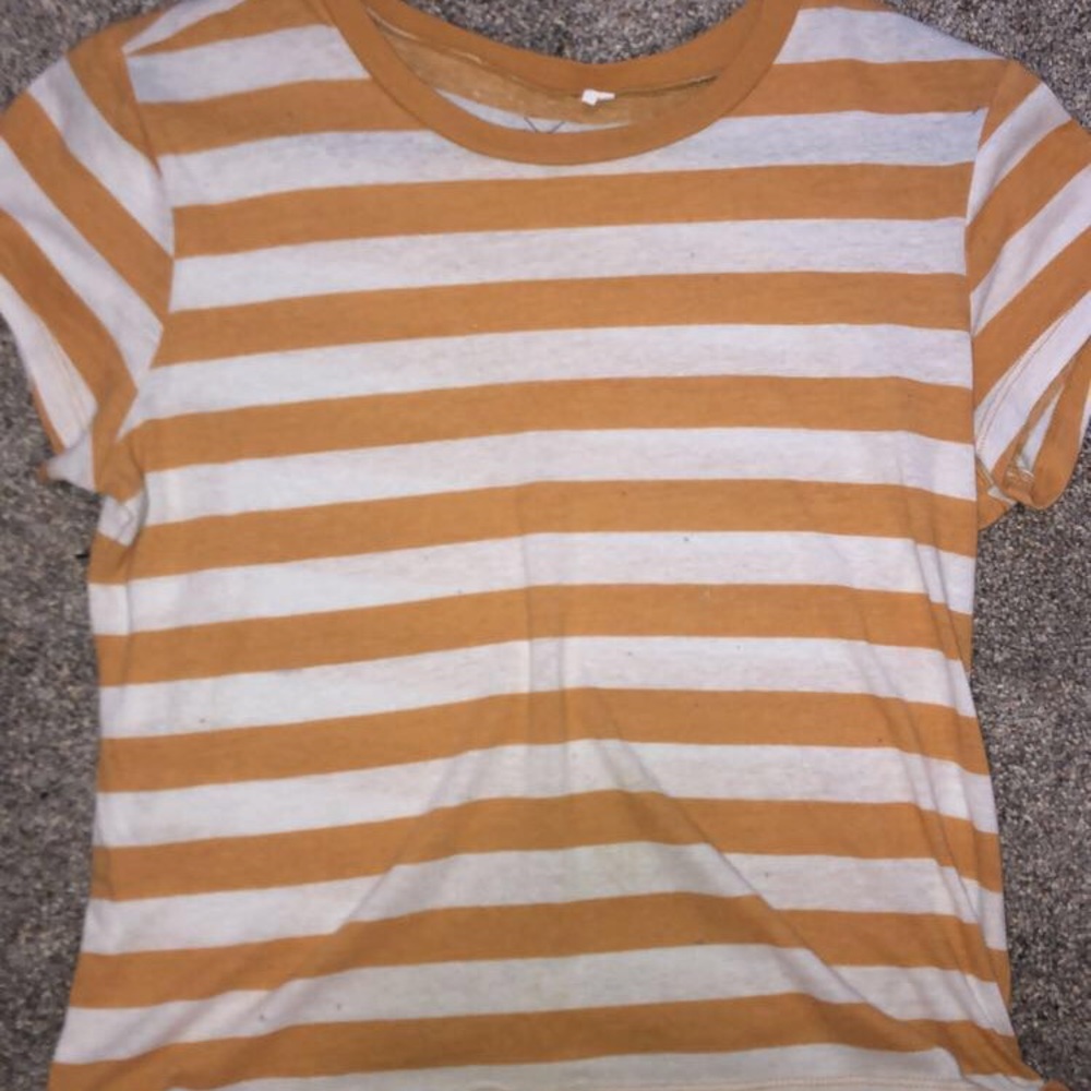 pacsun basics cropped tee